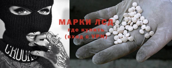 индика Гусь-Хрустальный