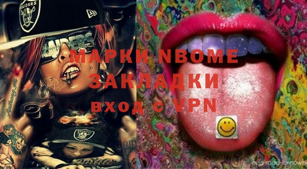индика Гусь-Хрустальный