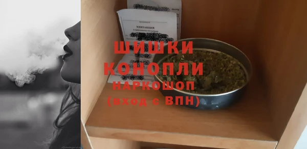 гидропоника Гусиноозёрск