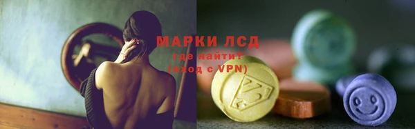 гидропоника Гусиноозёрск