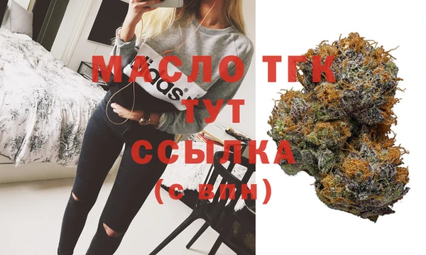 прущие крисы Горняк