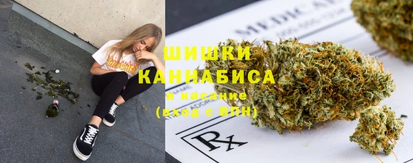 гидропоника Гусиноозёрск