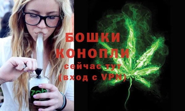 гидропоника Гусиноозёрск