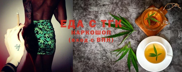 индика Гусь-Хрустальный