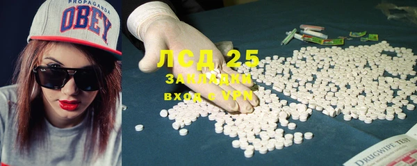 индика Гусь-Хрустальный
