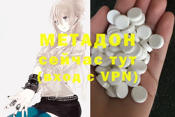 индика Гусь-Хрустальный