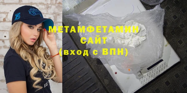 индика Гусь-Хрустальный
