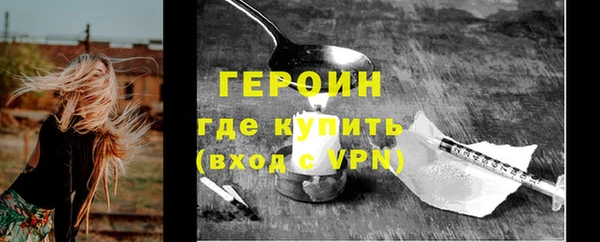индика Гусь-Хрустальный